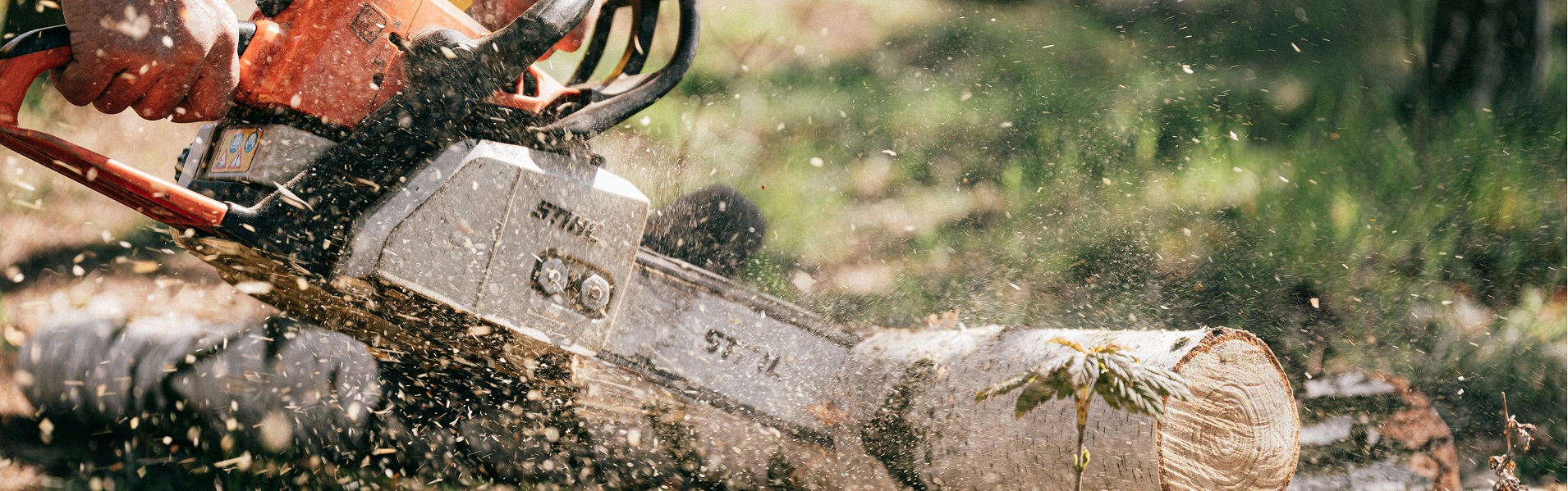 Kertész kertgondozás- Zöldrend